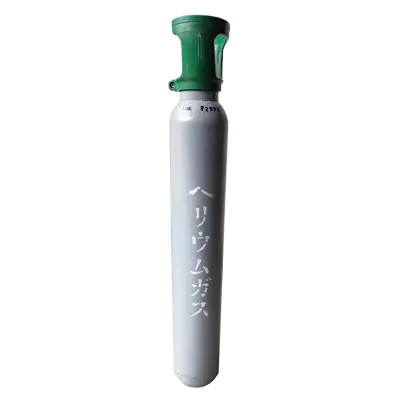 レンタル期間:30日