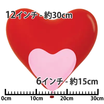 サイズ比較